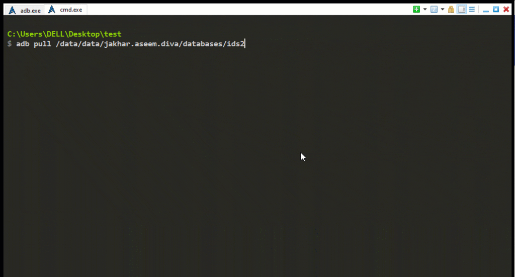 insecure-database-diva-application