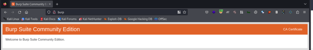 download-burp-certificate
