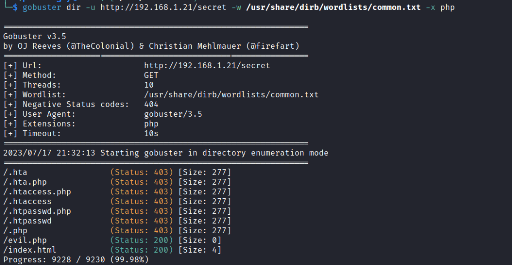 dir-fuzzing-gobuster