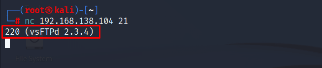 ftp-service-penetration-testing-netcat-version-detection