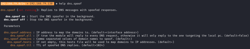 dns-spoof-module-help