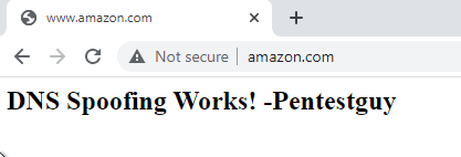 dns-spoofing-works-browser