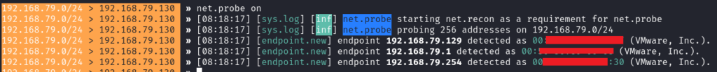 bettercap-net-probe-on