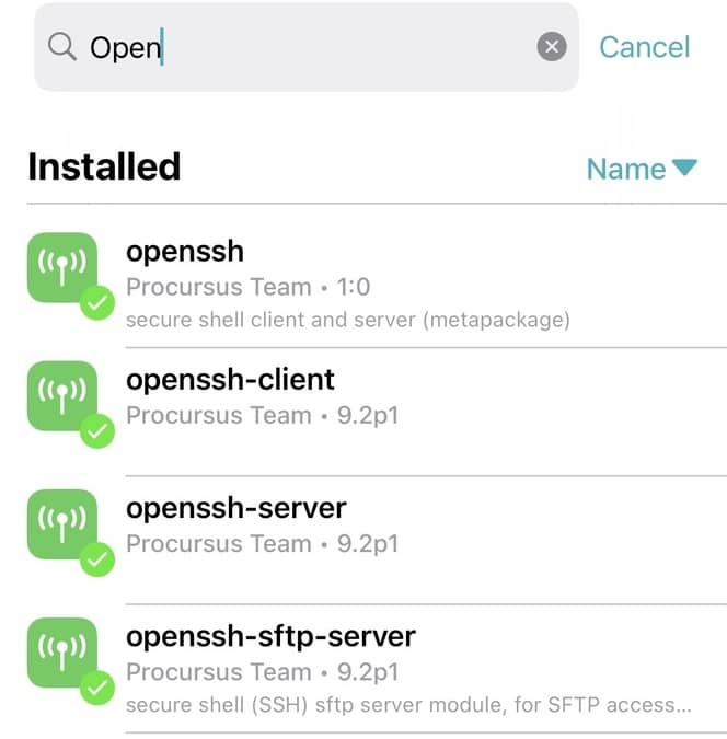 install-openssh-on-jailbreak-iOS