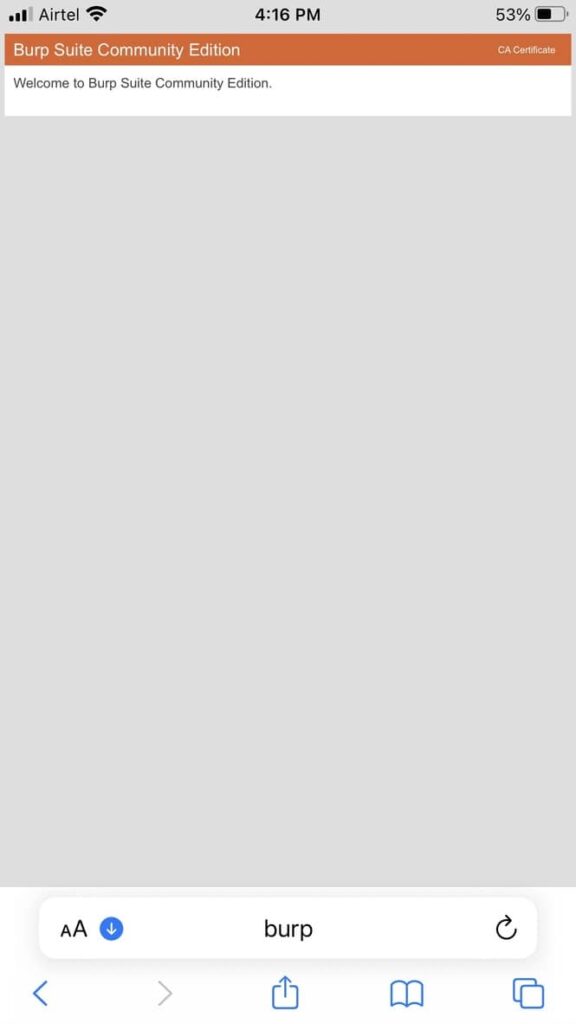 burp-ca-cert-download