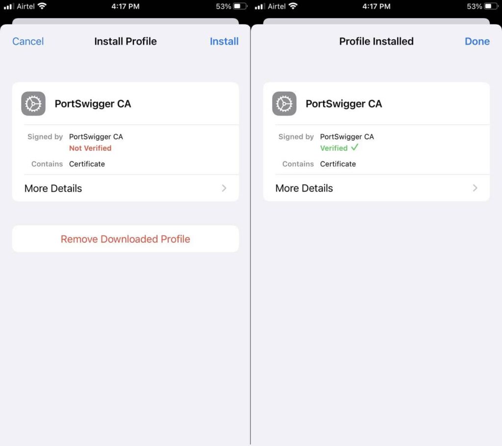port-swigger-ca-cert-verified
