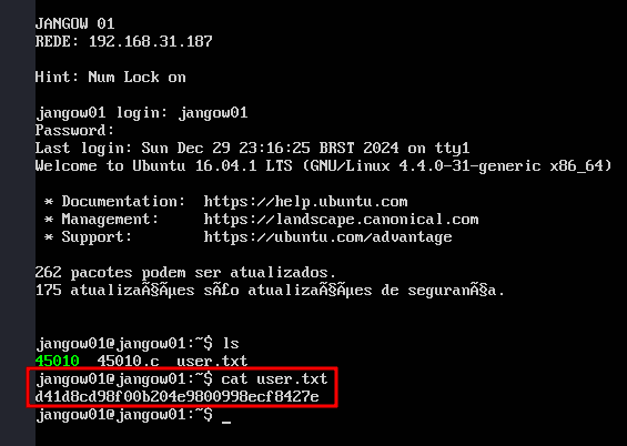 jangow: 1.0.1 vulnhub-user-flag